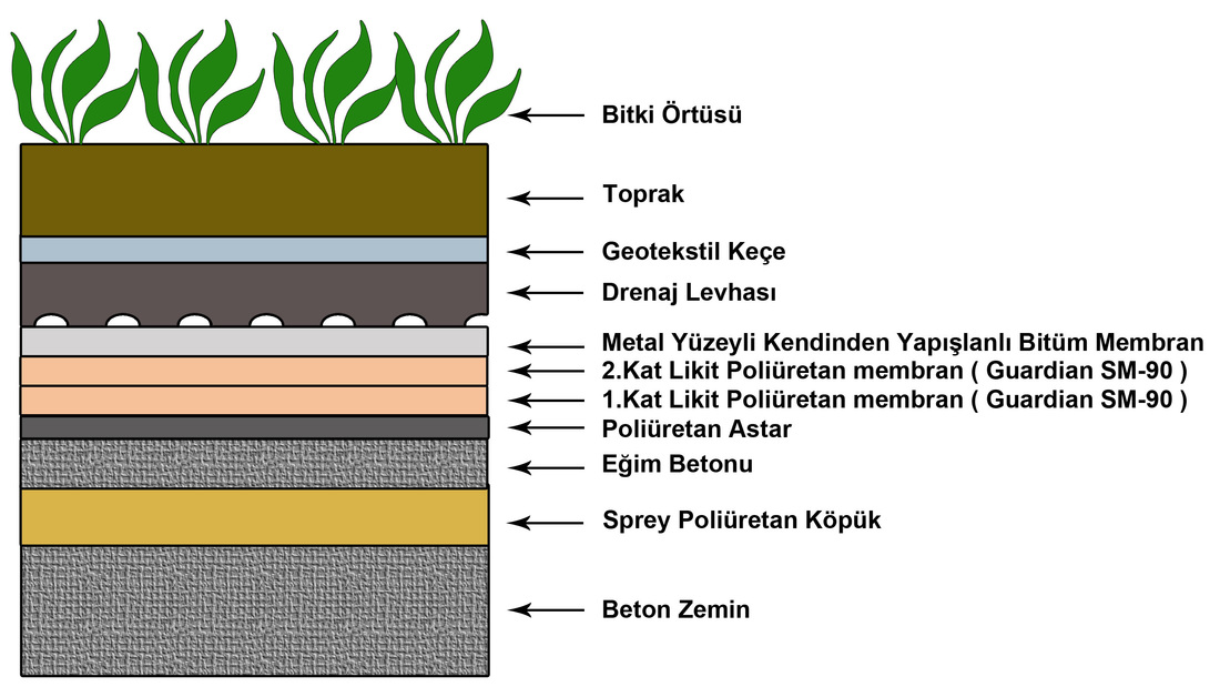 yeşil çatı - bitki köklerine dayanıklı yalıtım - polyurea kaplama