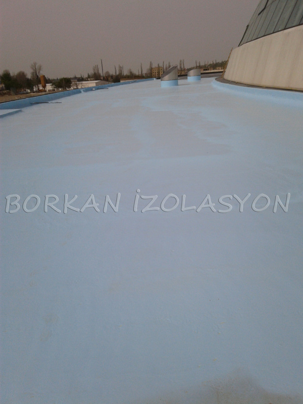 Borkan - Gürcistan Parlamento binası havuz polyurea izolasyonu